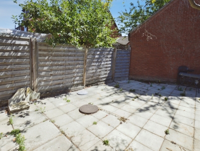 Picture 11